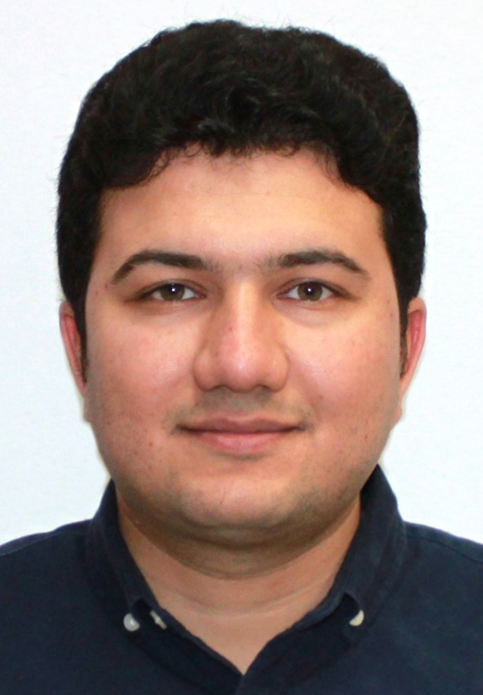 Seid Miad Zandavi